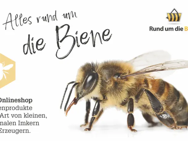 Rund um die Biene